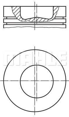 WILMINK GROUP Männät WG1104643